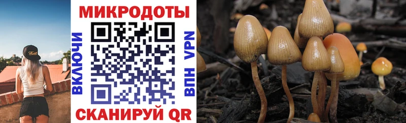 Псилоцибиновые грибы MAGIC MUSHROOMS  Хасавюрт 