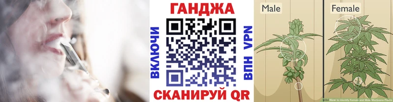 Каннабис сатива  Хасавюрт 